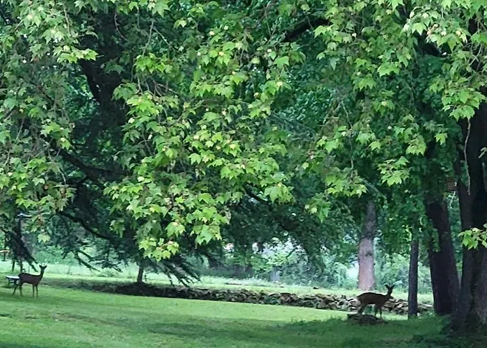 Chateau Les Bardons Villa La Pacaudière